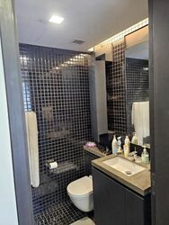 Skysuites@Anson (D2), Apartment #464466131
